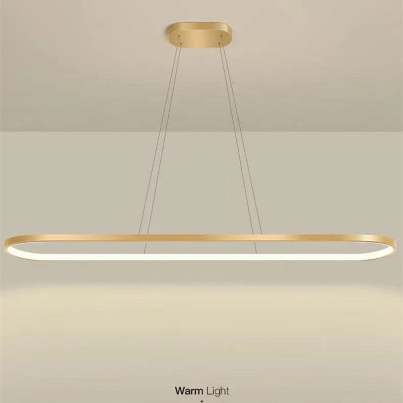 Avenor Minimalist Oval Interior Hanging Pendant Light