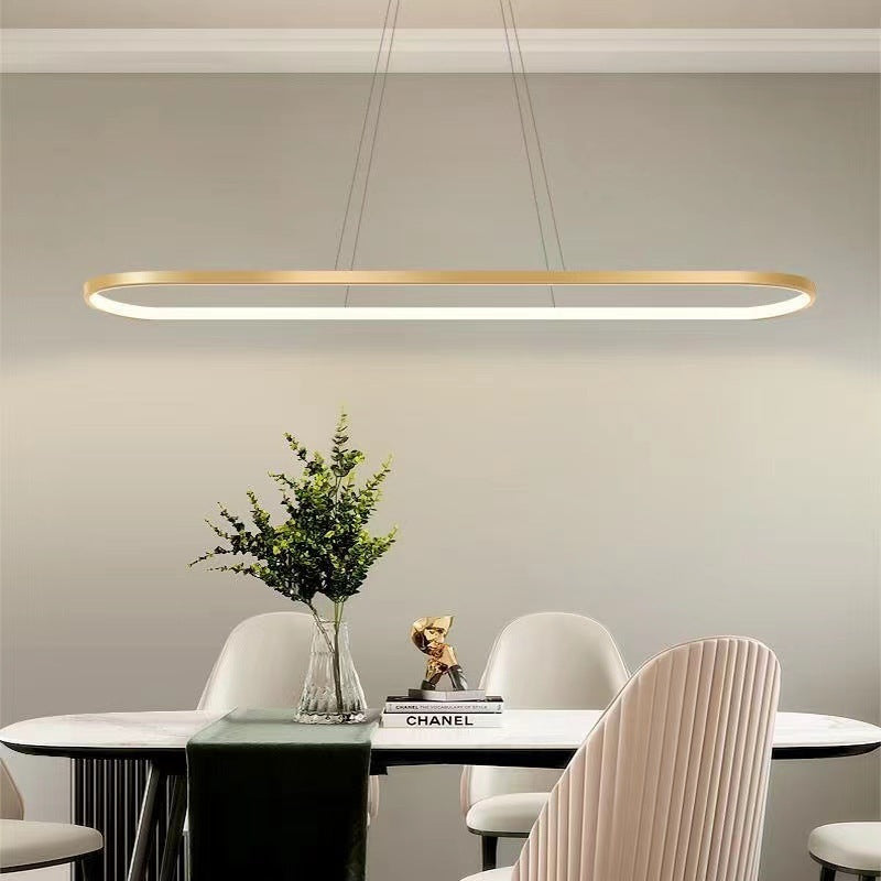 Avenor Minimalist Oval Interior Hanging Pendant Light