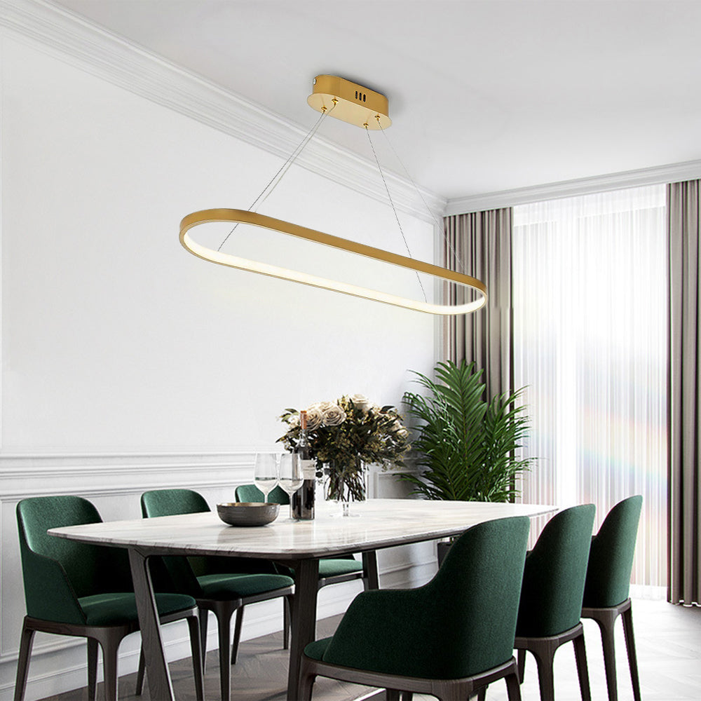 Avenor Minimalist Oval Interior Hanging Pendant Light