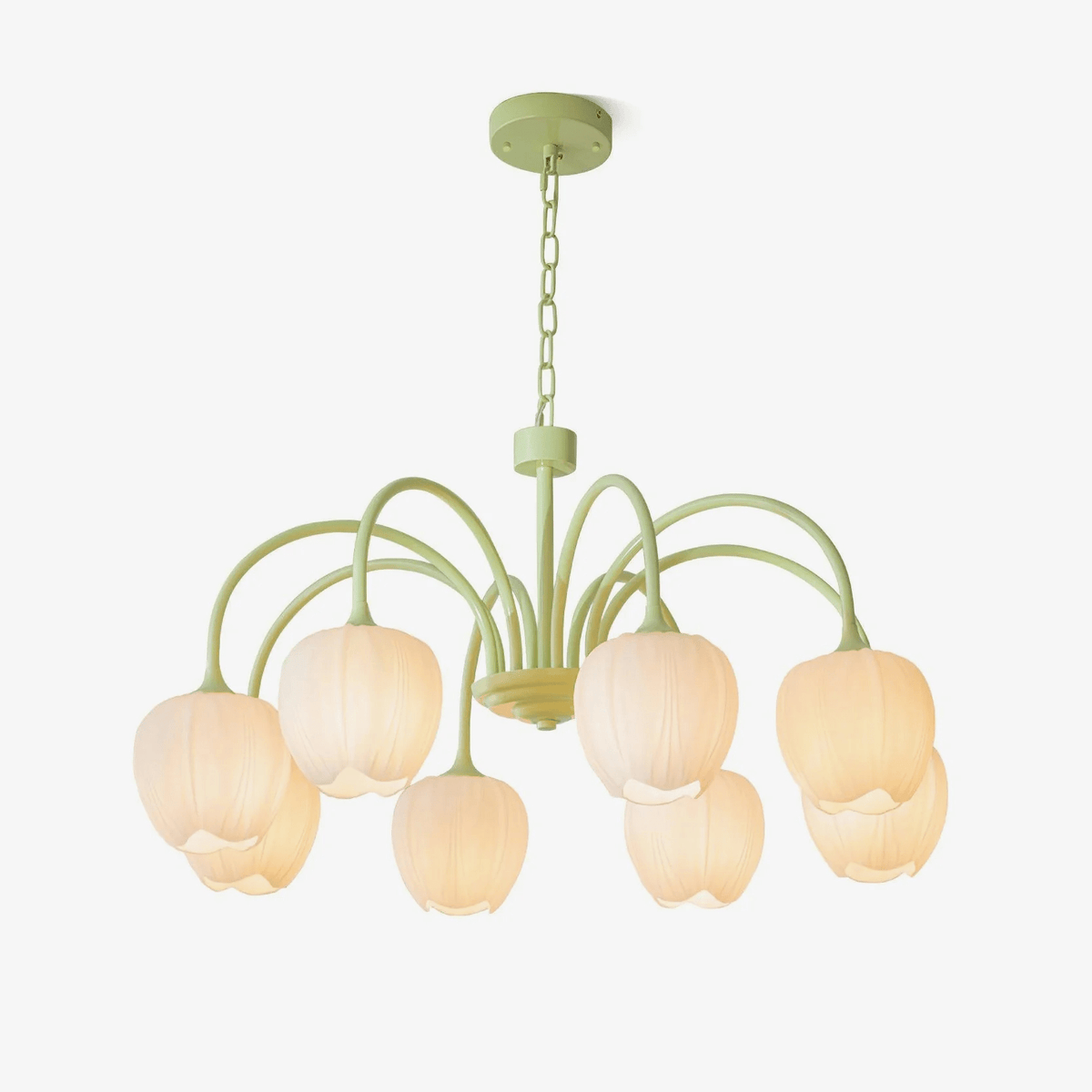 Tulip friske lysekroner i glas