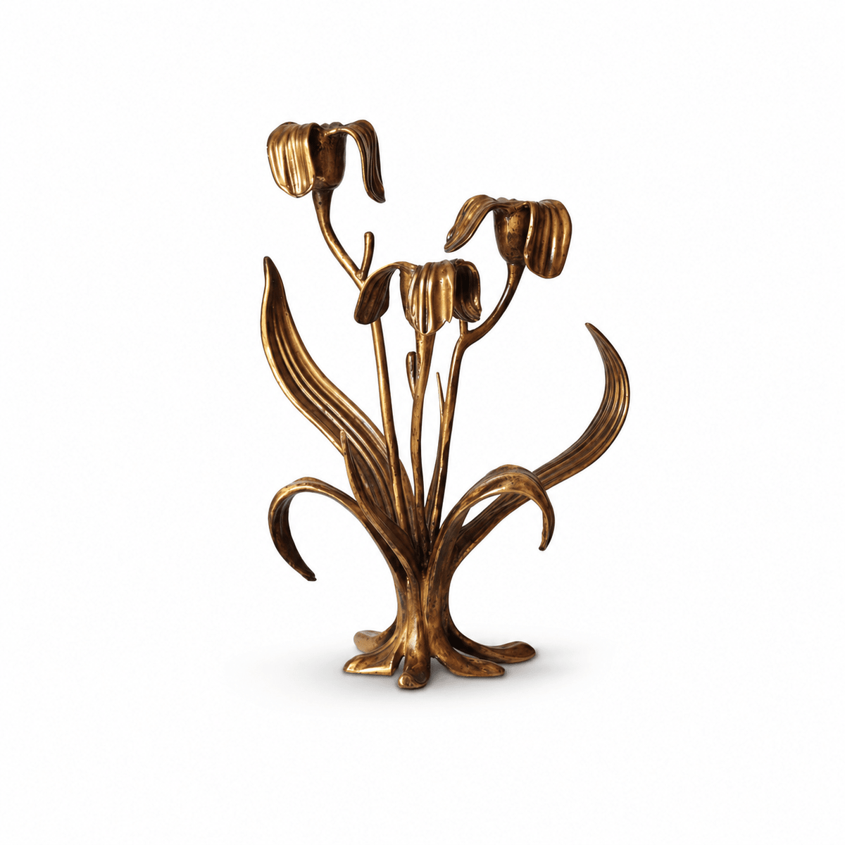 Orielle Botanical Bloom-lysestage