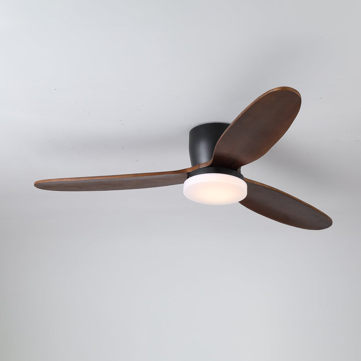 Luz de teto com ventoinha Athyrs