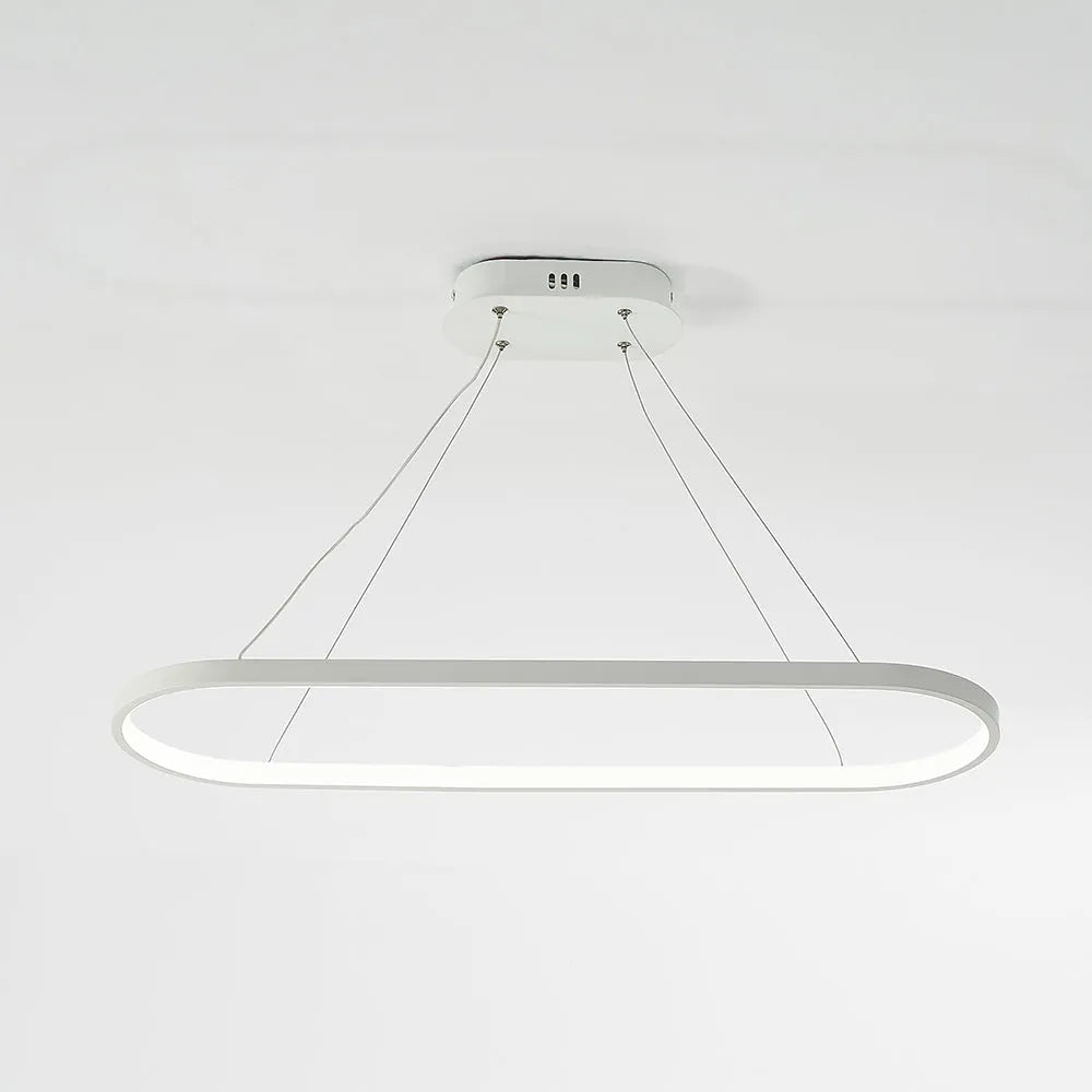 Avenor Minimalist Oval Interior Hanging Pendant Light