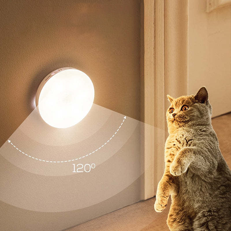 Arisha Magnetic Sensor Wall Light