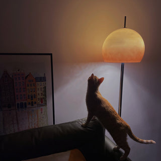 Salgado Modern Hög LED Lampskärm Golvlampa Orange Metall/Glas Vardagsrum/Sovrum