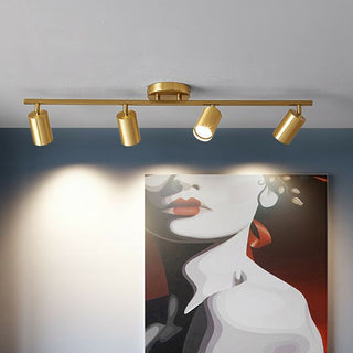 Haney Spotlight För Taklampa Modern, Metall, Svart/Vit/Guld