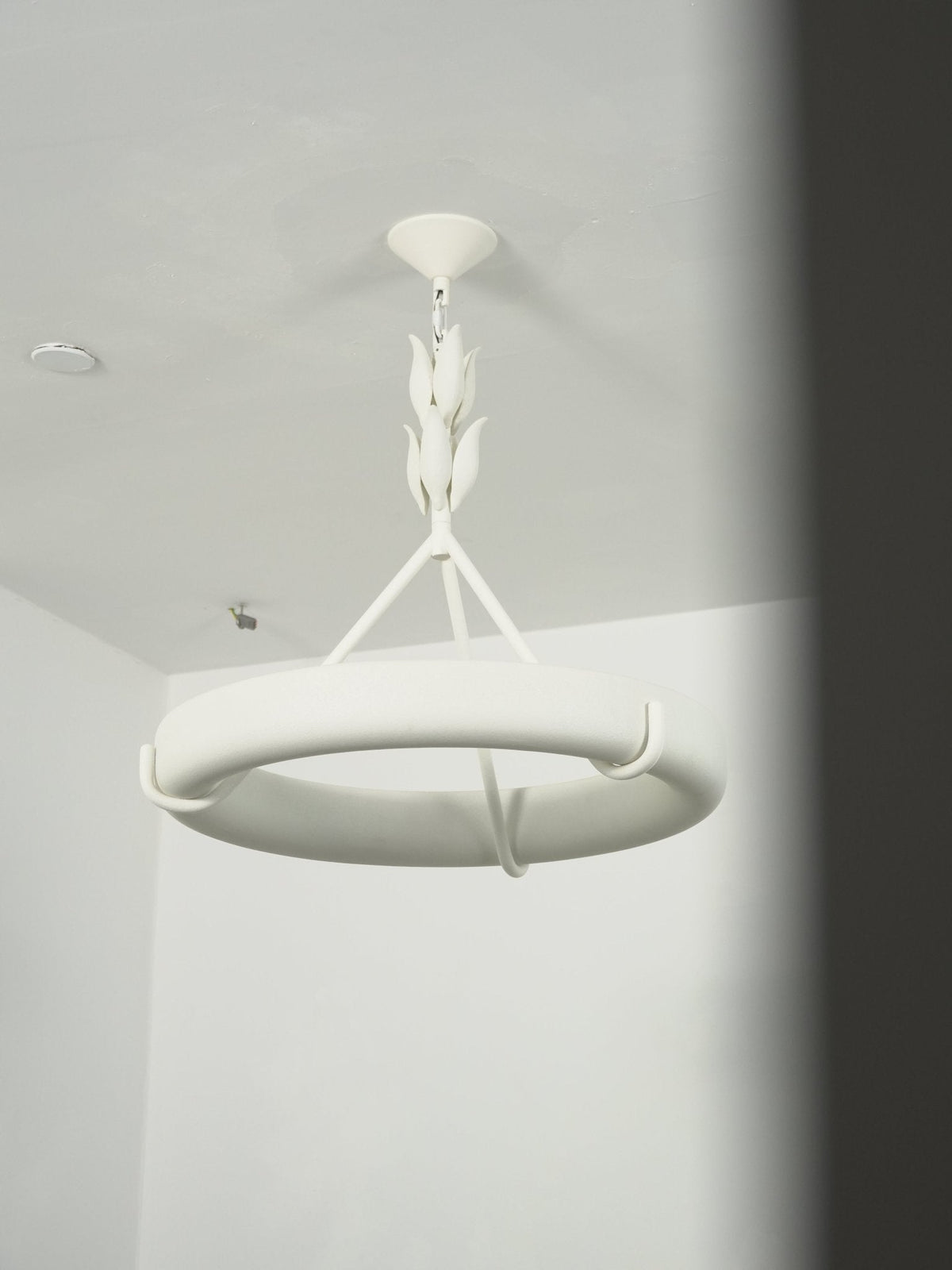 Sorarena gipskrona