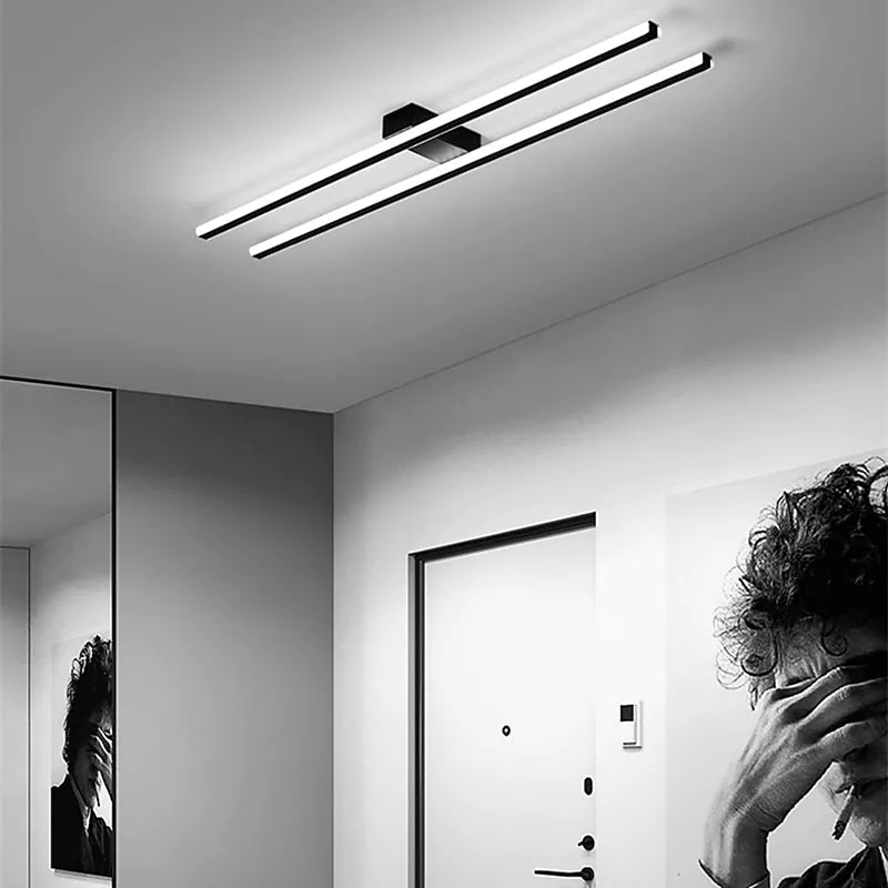 Arisha Modern Minimaliste Flush Mount Ceiling Light, Double-Linear
