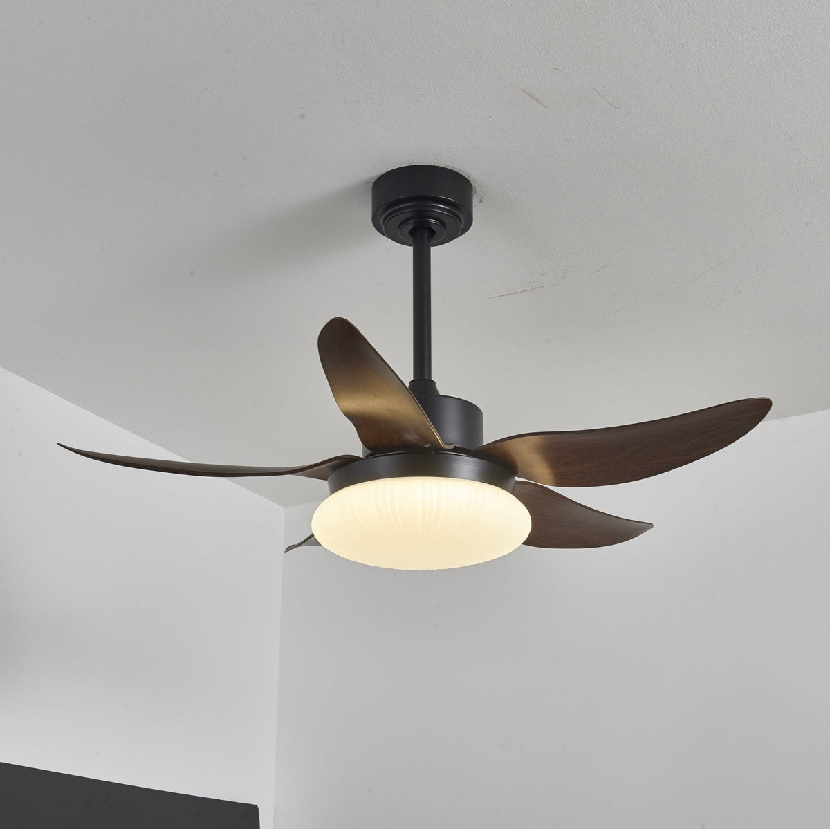 Ventoinha de teto moderna com luz em madeira Zerith