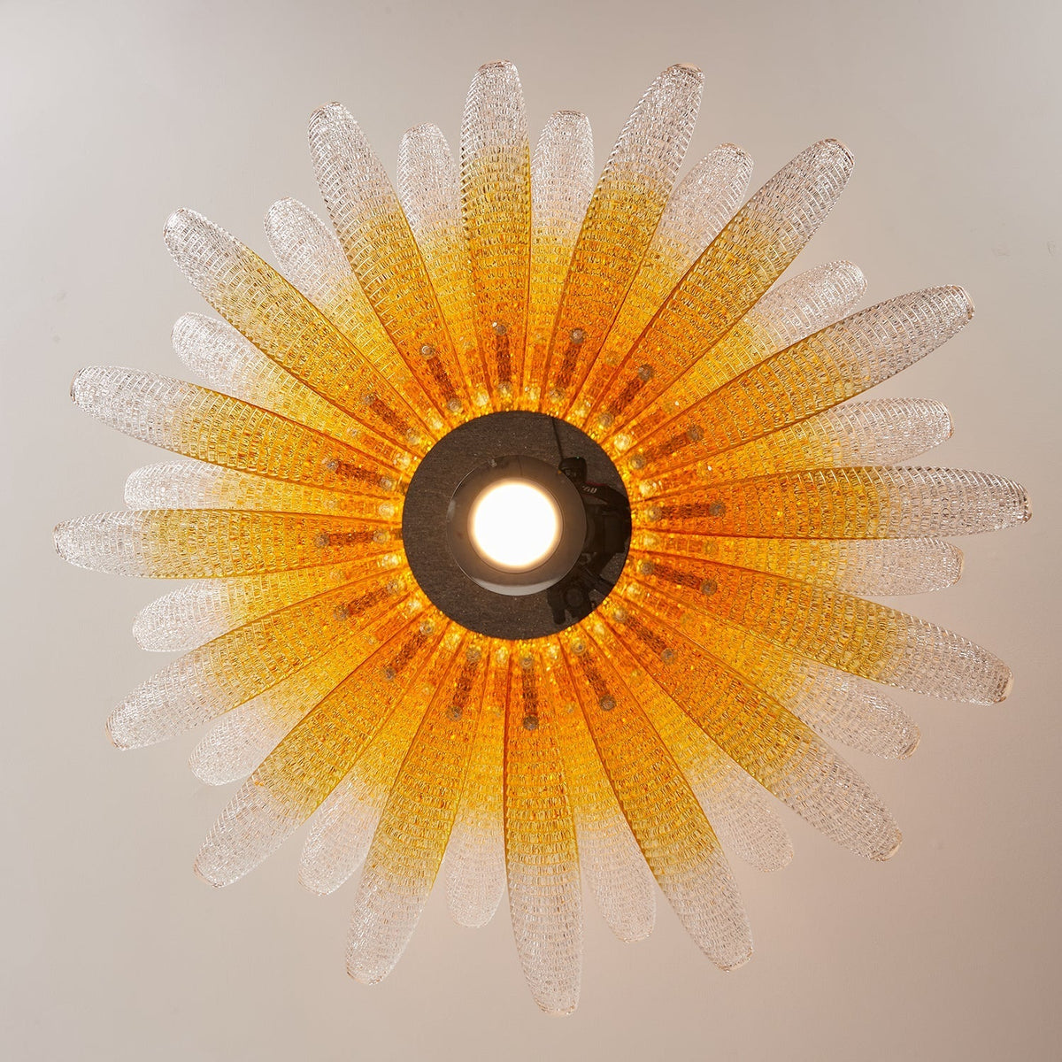 Sorirora starburst-lysekrone