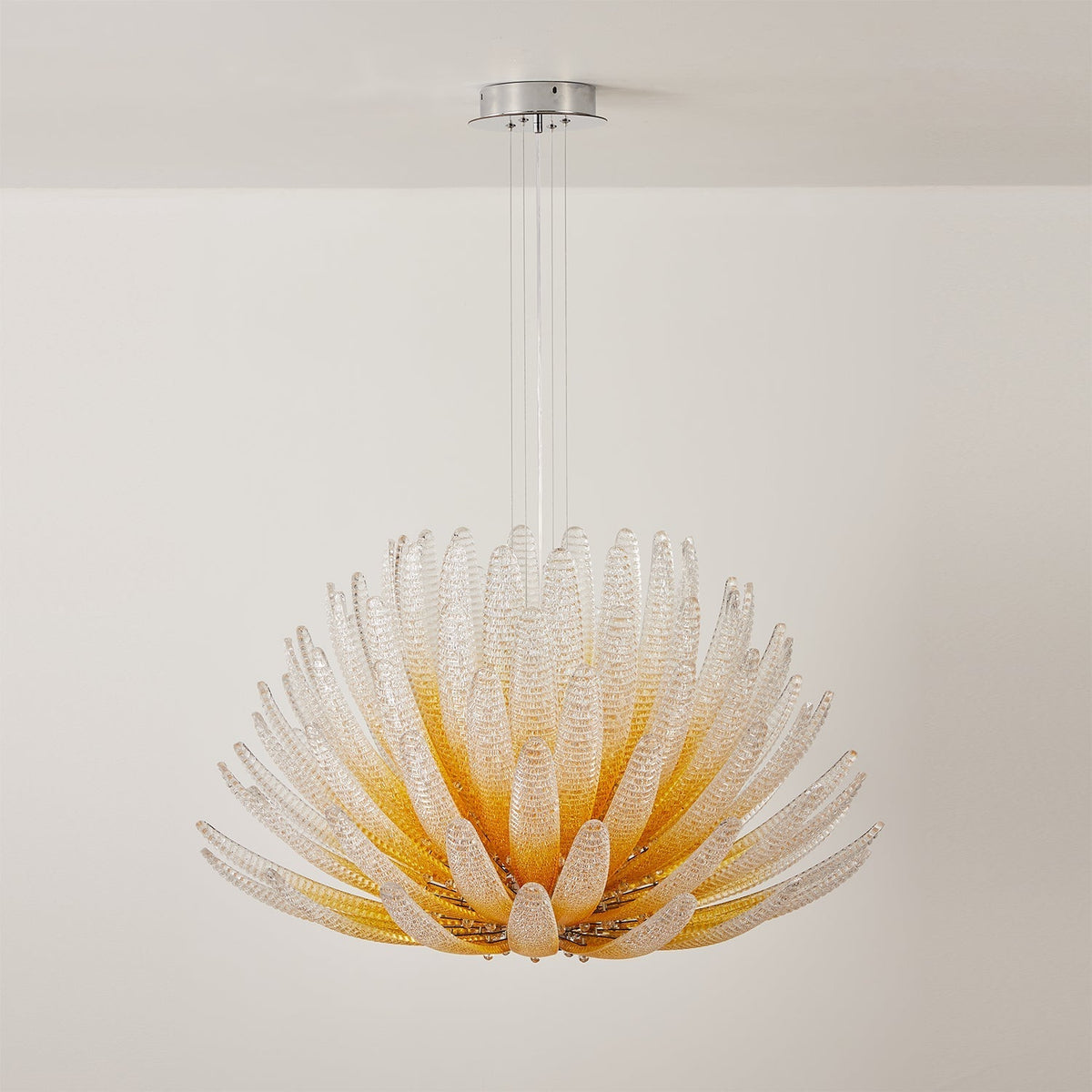 Sorirora starburst-lysekrone