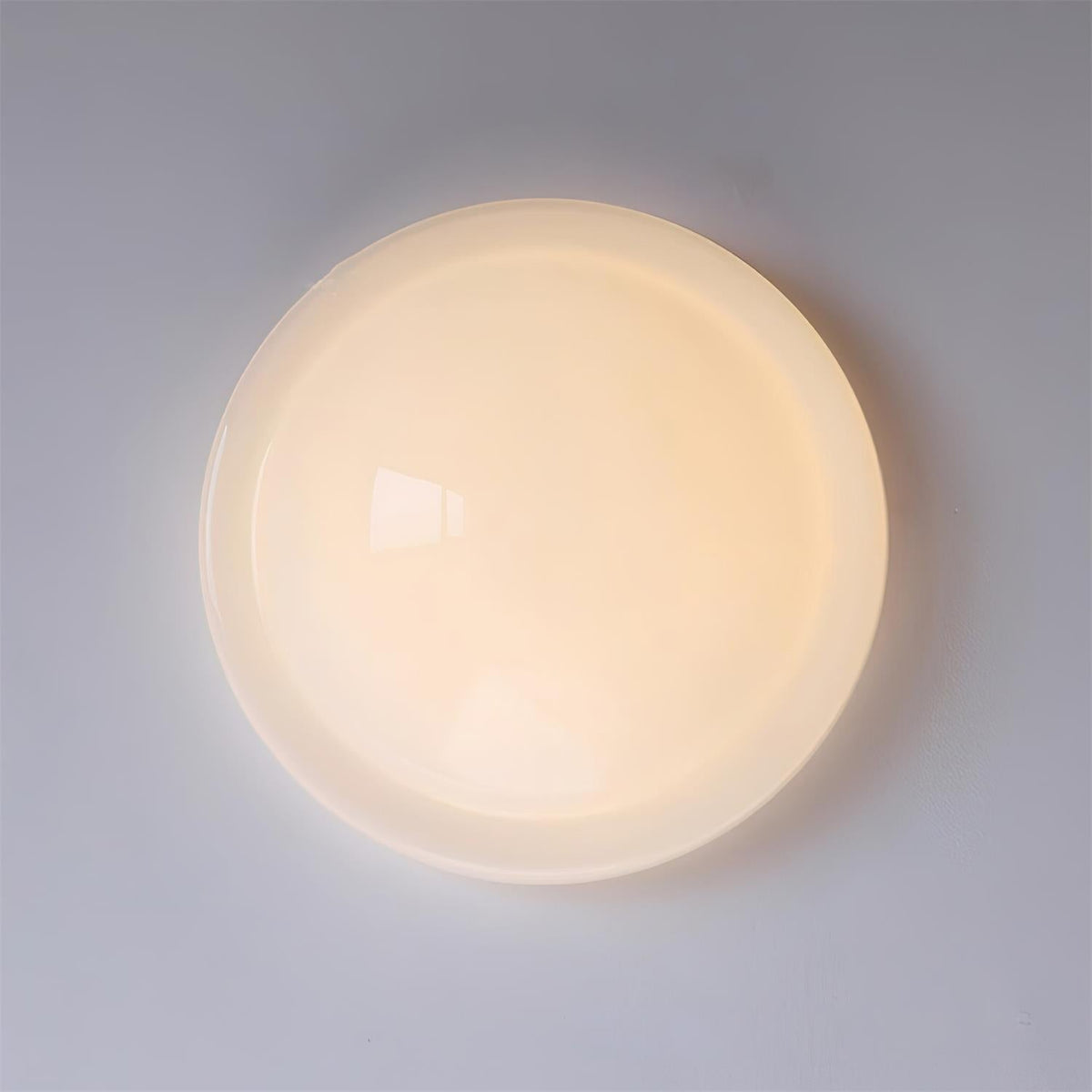 Seloelle Ceiling Light