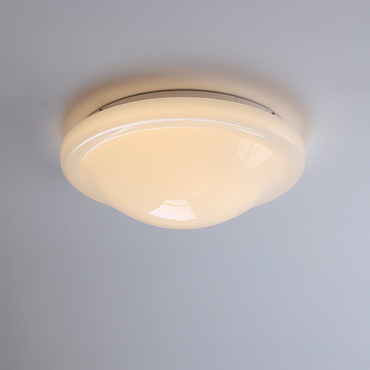 Seloelle Ceiling Light
