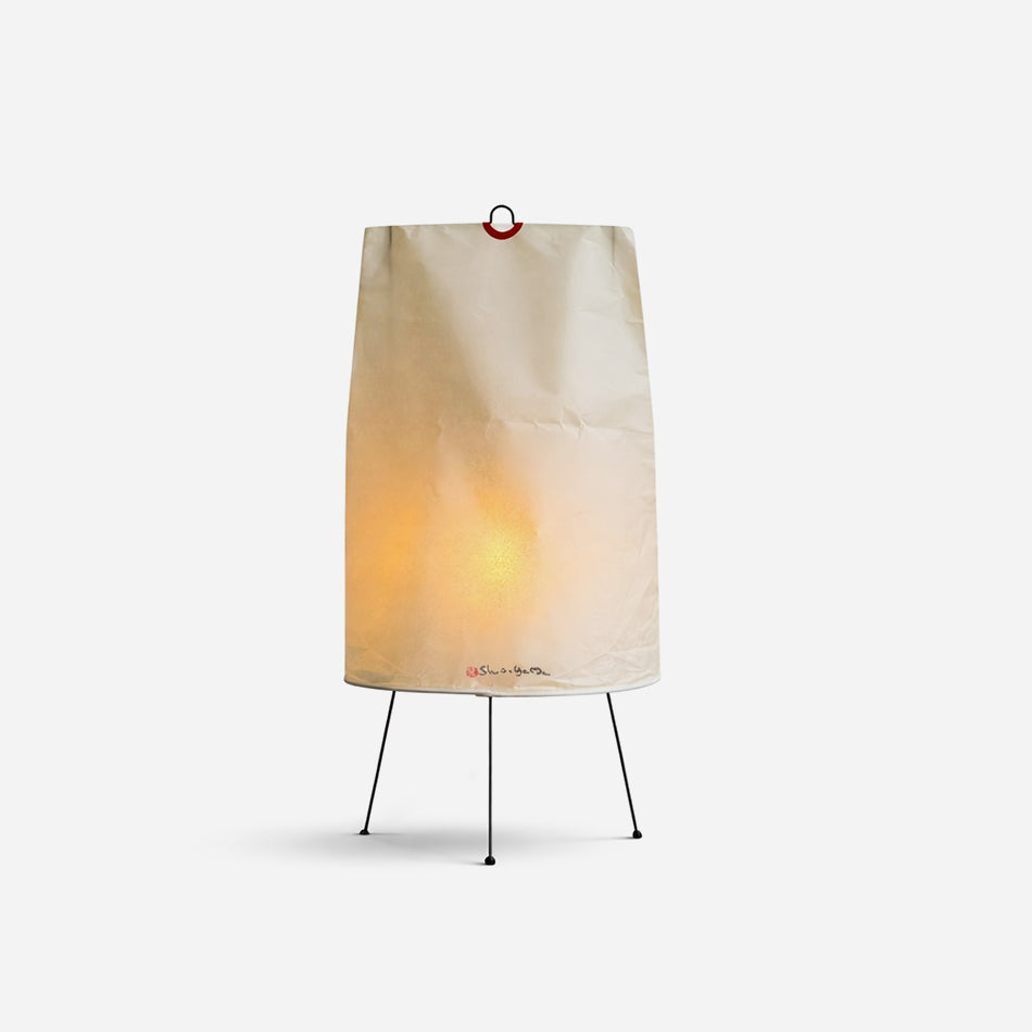 Teriaia Table Lamp