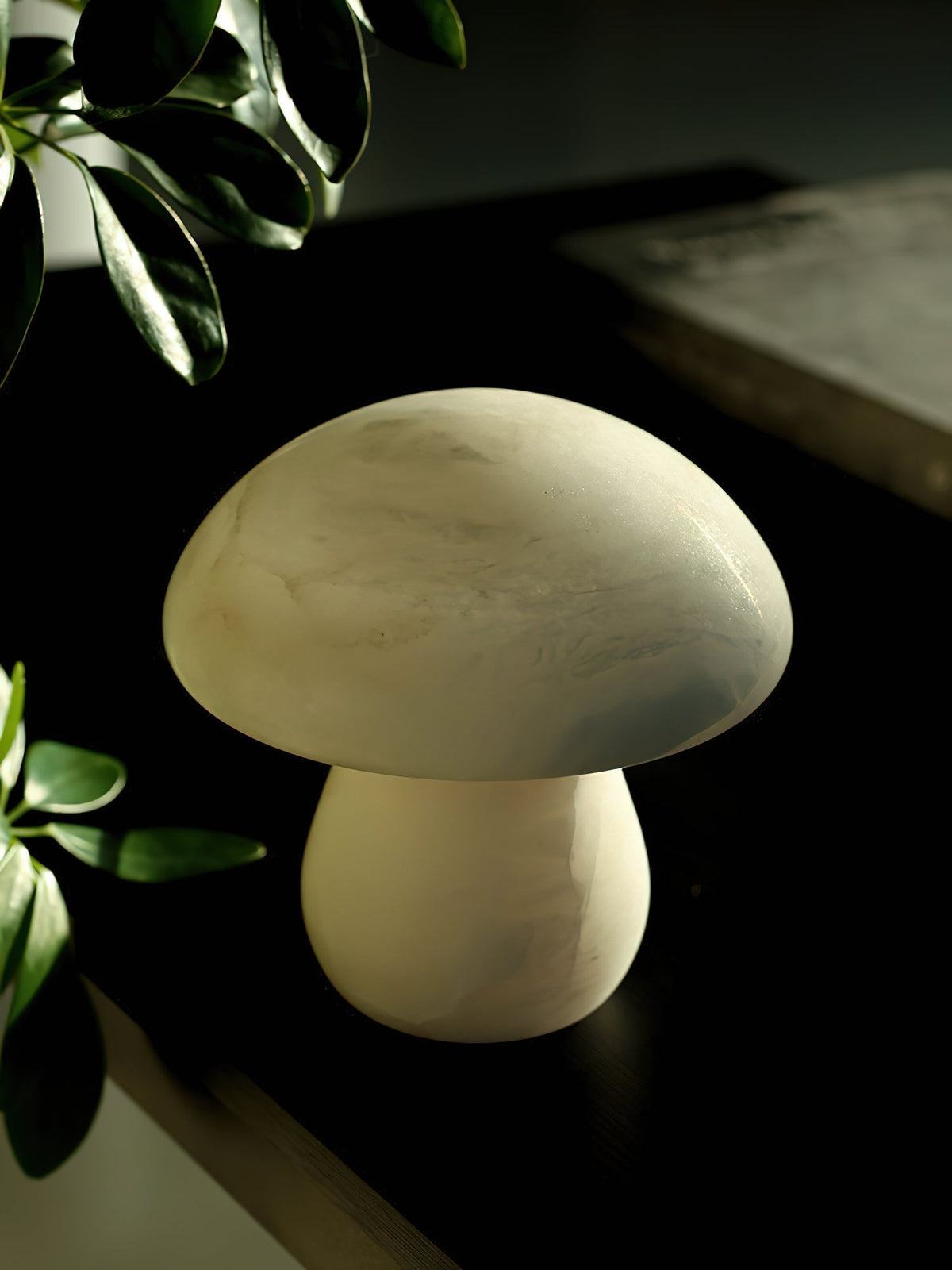 Selanise-bordlampe