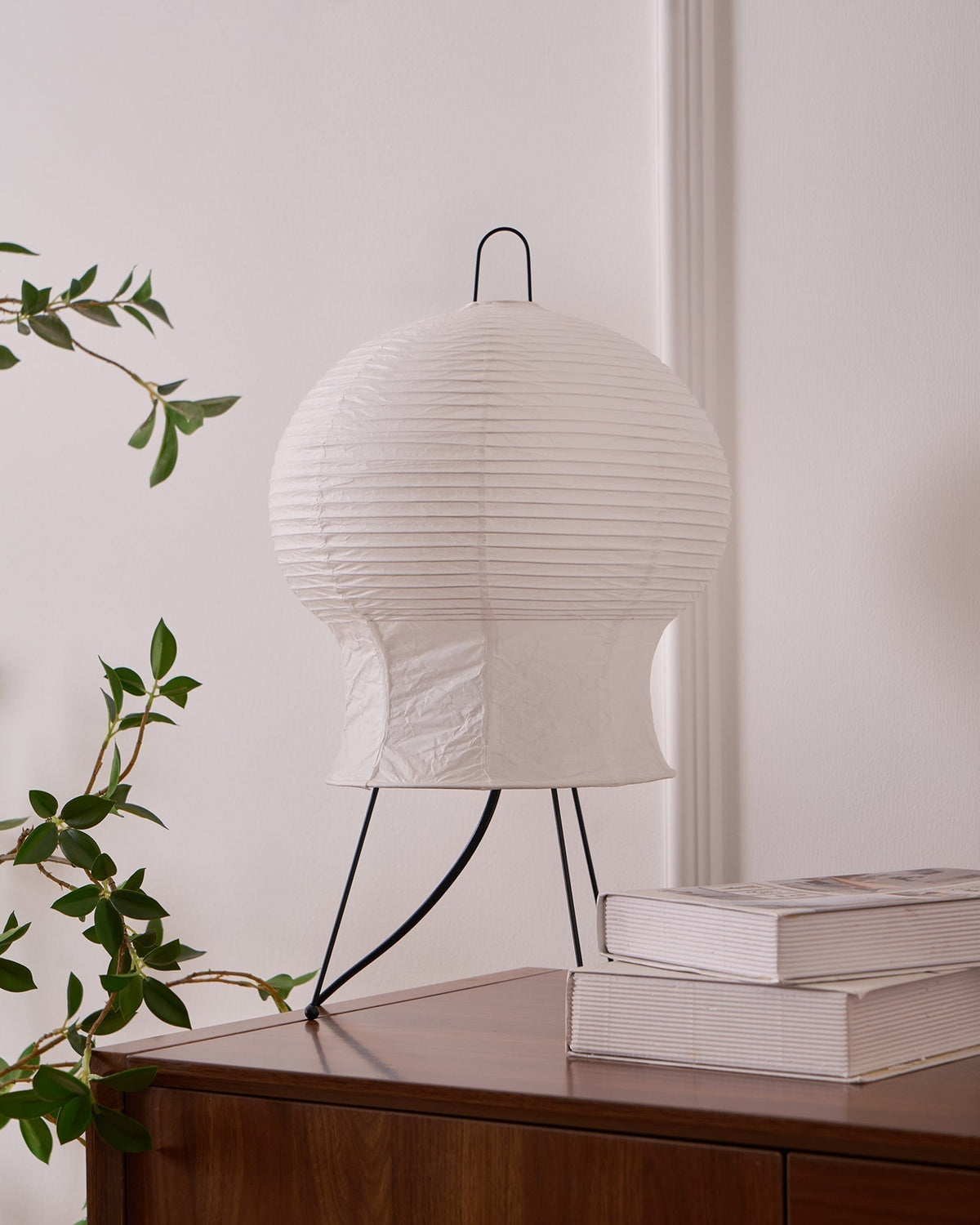 Selanaya Table Lamp