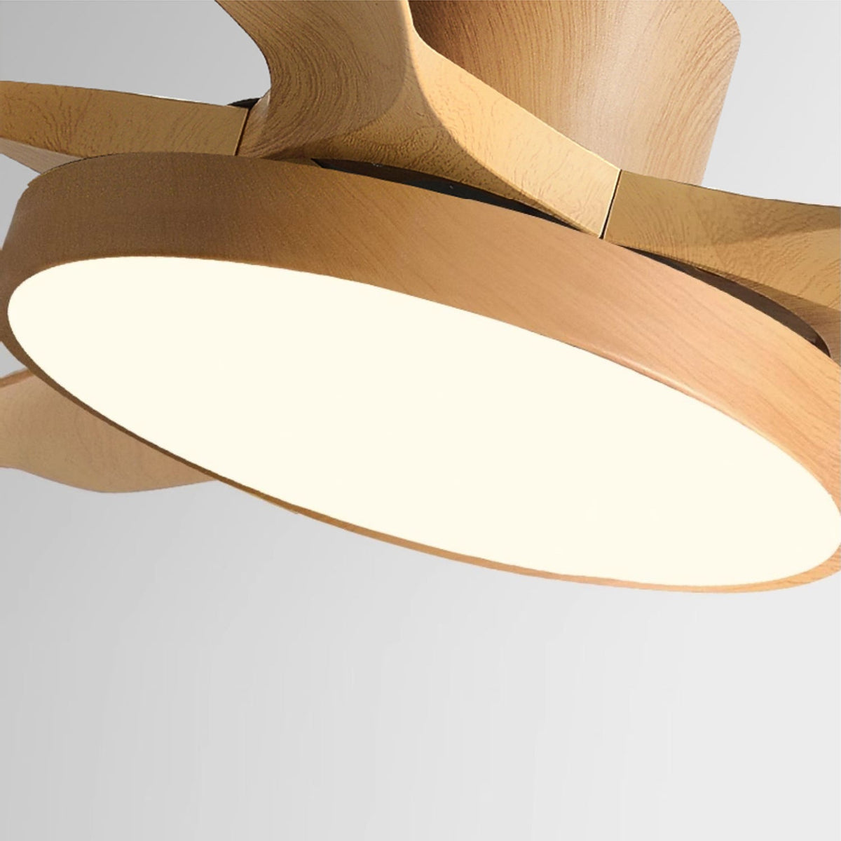 Ventoinha de teto com luz Renalella StillWind
