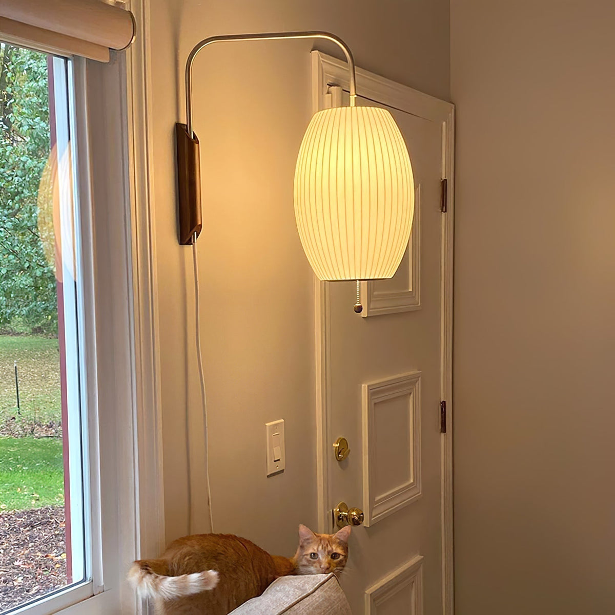 Aldinira Wall Sconce Walnut Ball