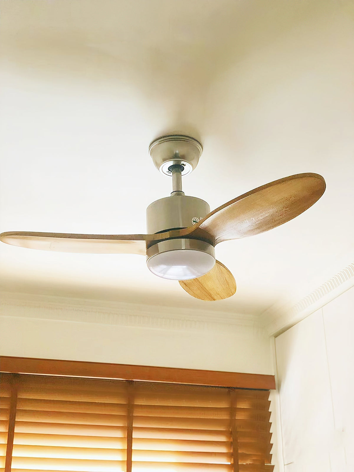 Ventoinha de teto com luz Rivaraine
