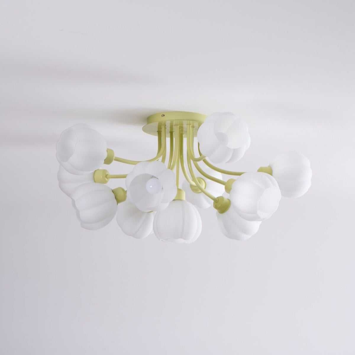 Zenorarae elegant taklampa i matchaglas