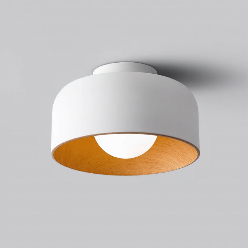 Vanden-loftlampe