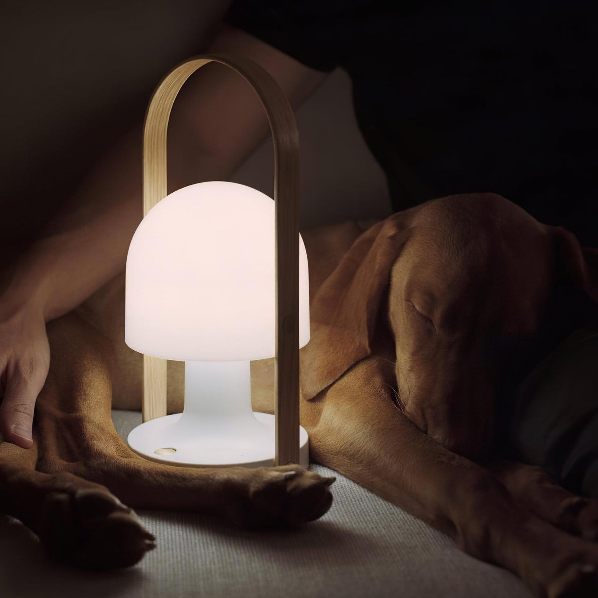 Elaanelle Table Lamp