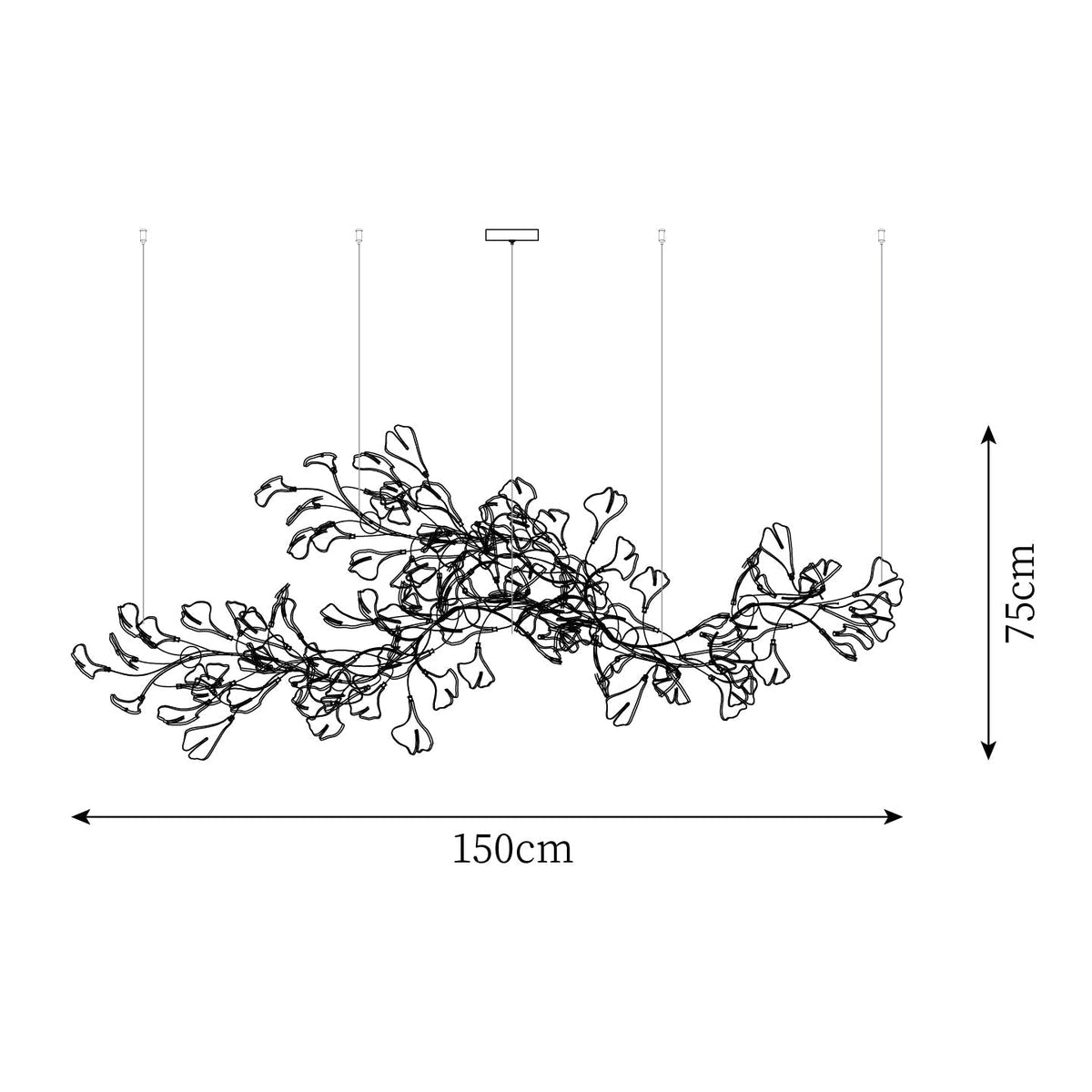 Oriane Chandelier