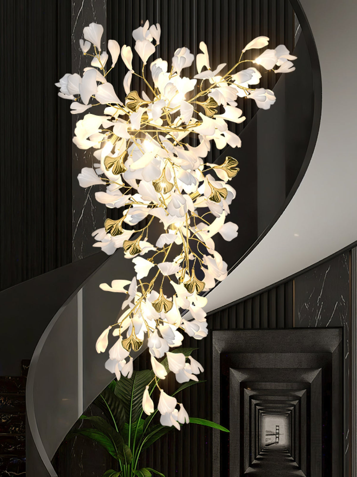 Calaena gingko-lysekrone