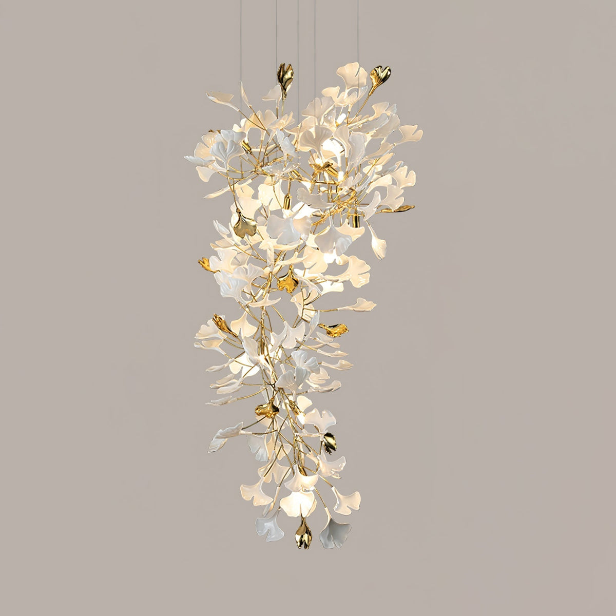 Calaena gingko-lysekrone