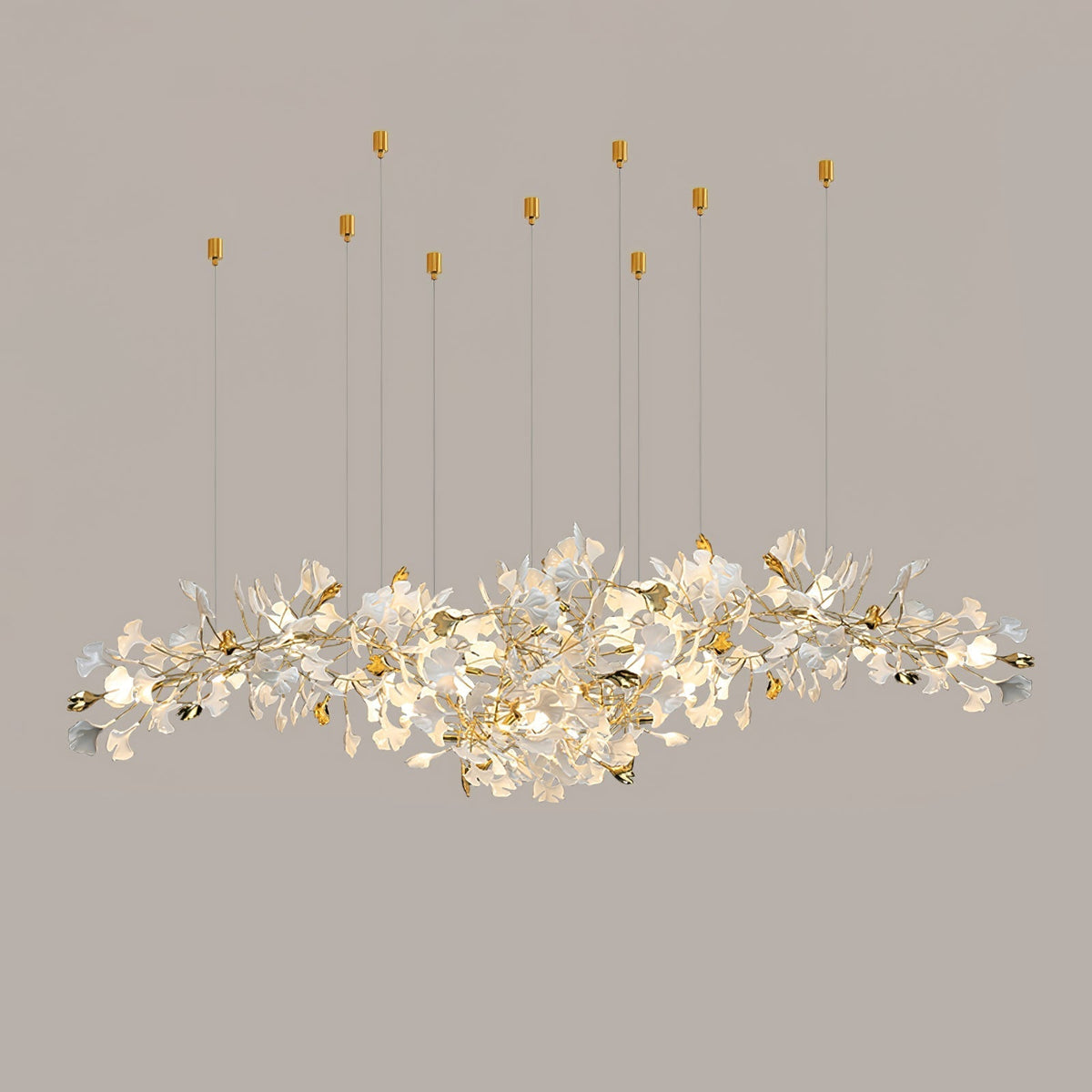Calaena gingko-lysekrone