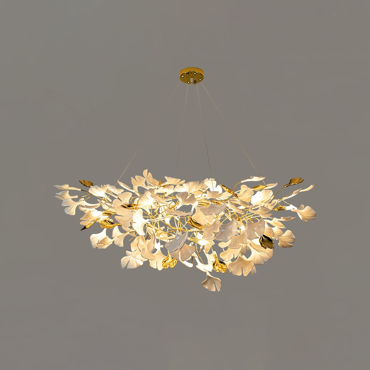 Calaena gingko-lysekrone