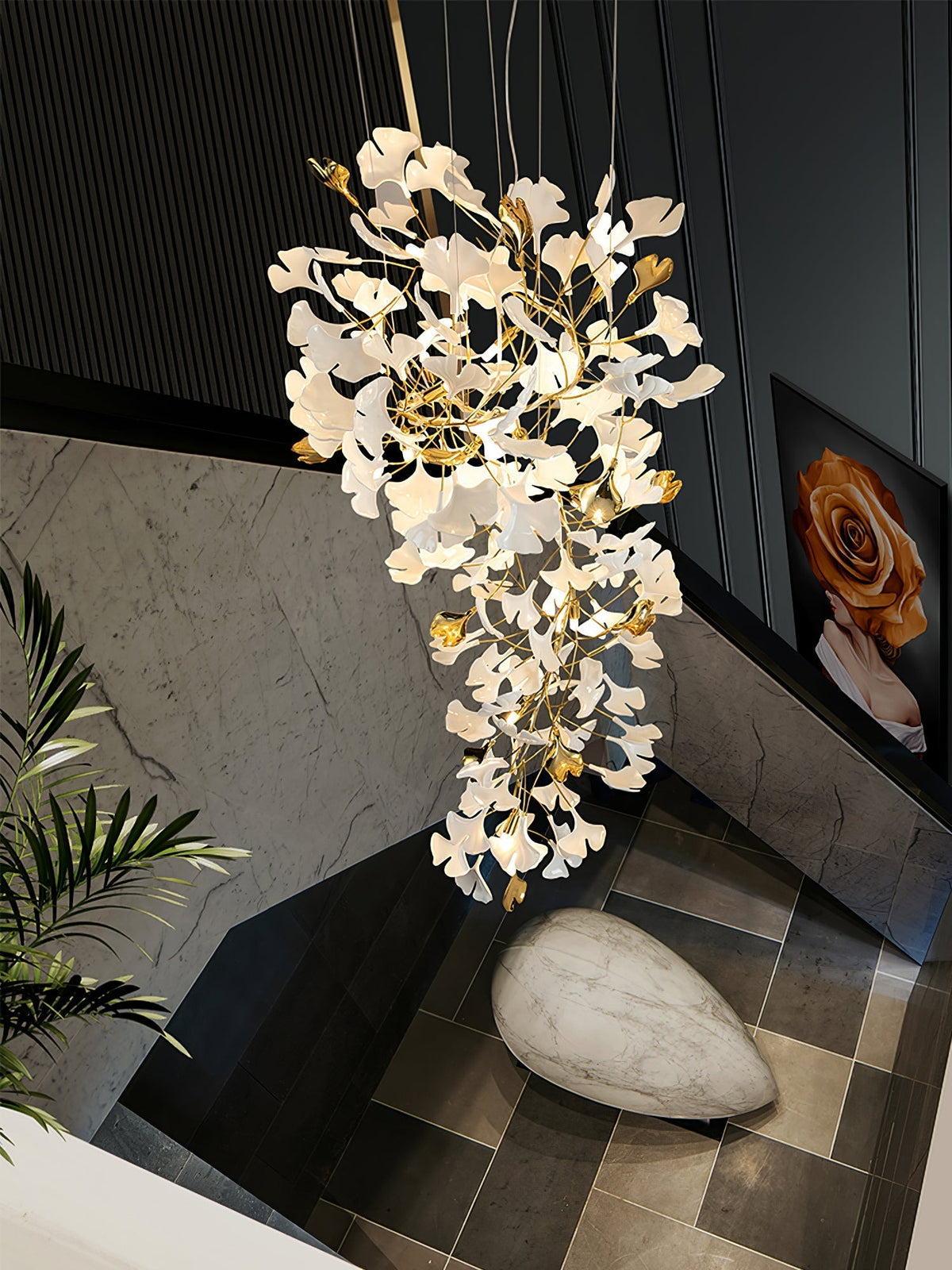 Calaena gingko-lysekrone