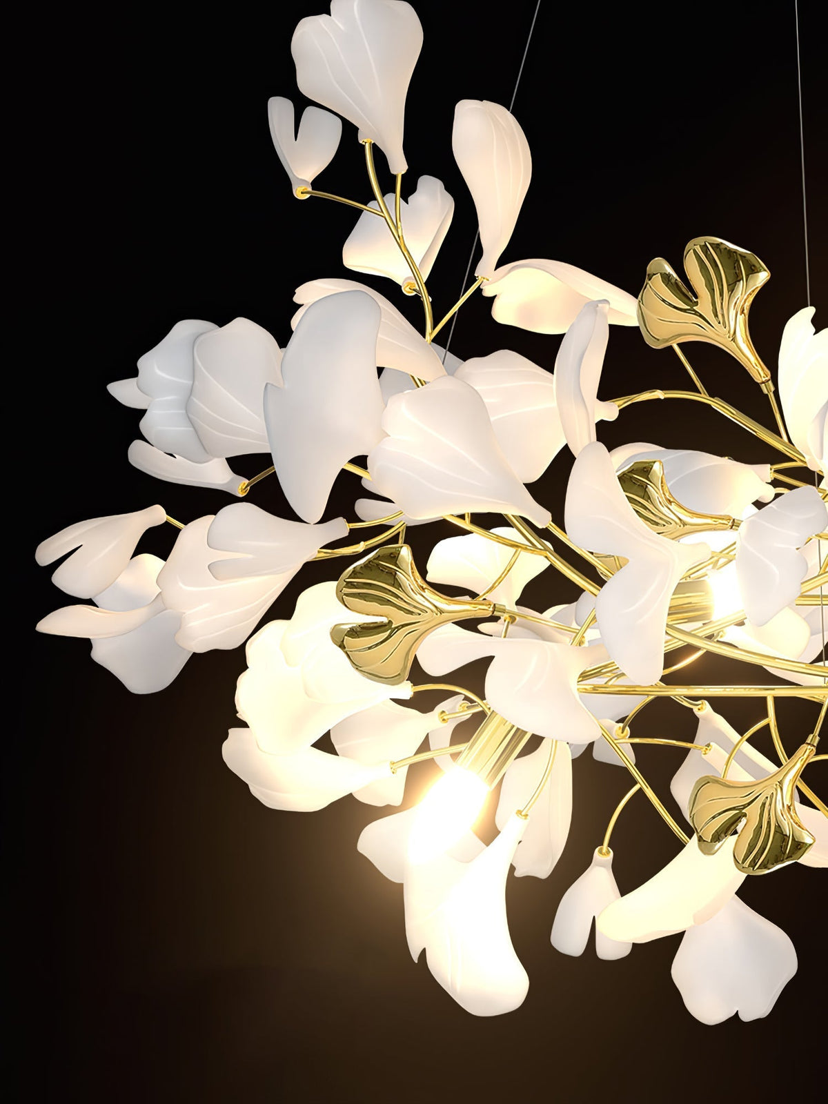 Calaena gingko-lysekrone