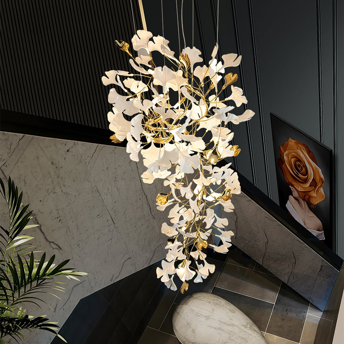 Calaena gingko-lysekrone