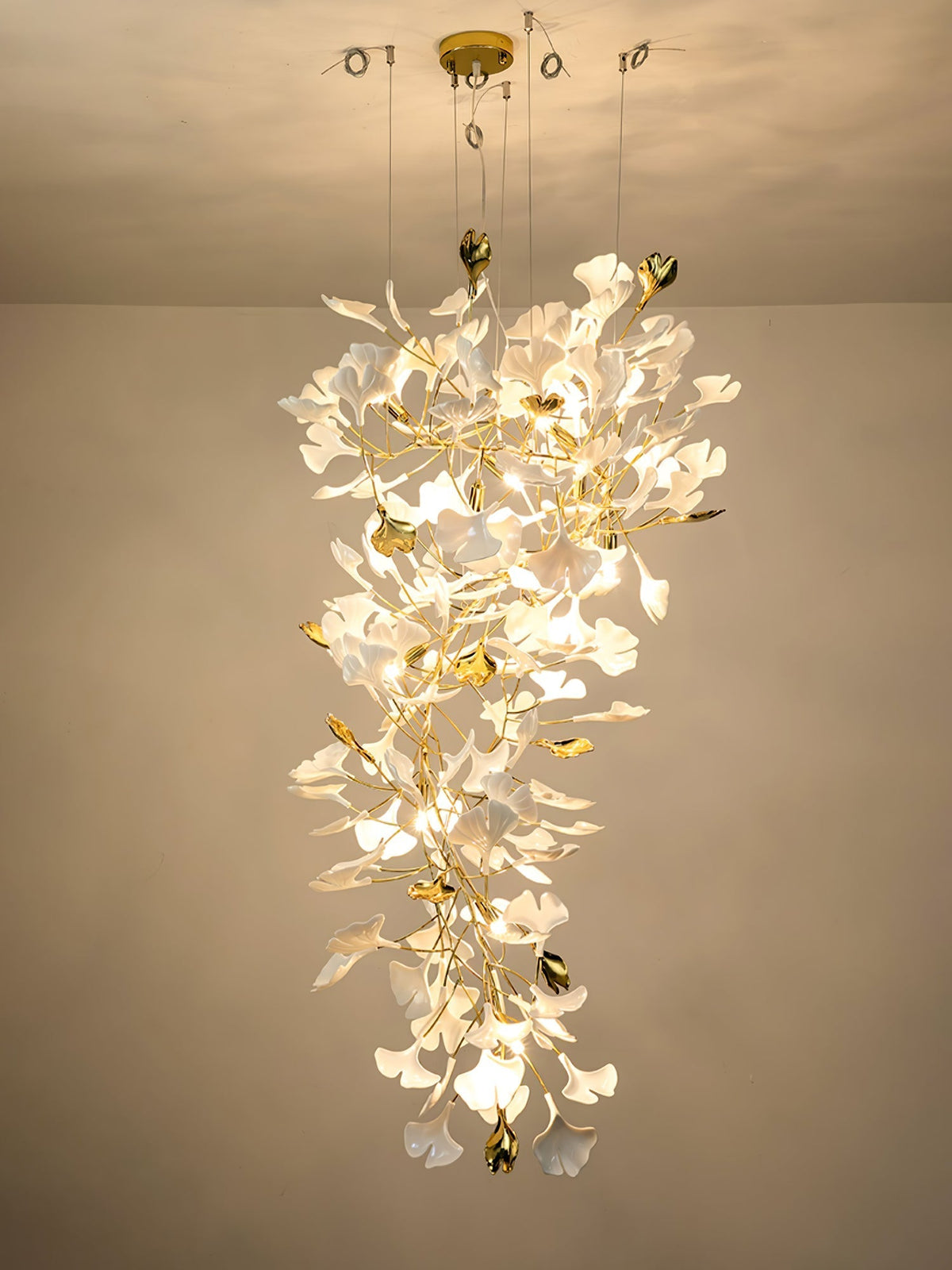 Calaena gingko-lysekrone