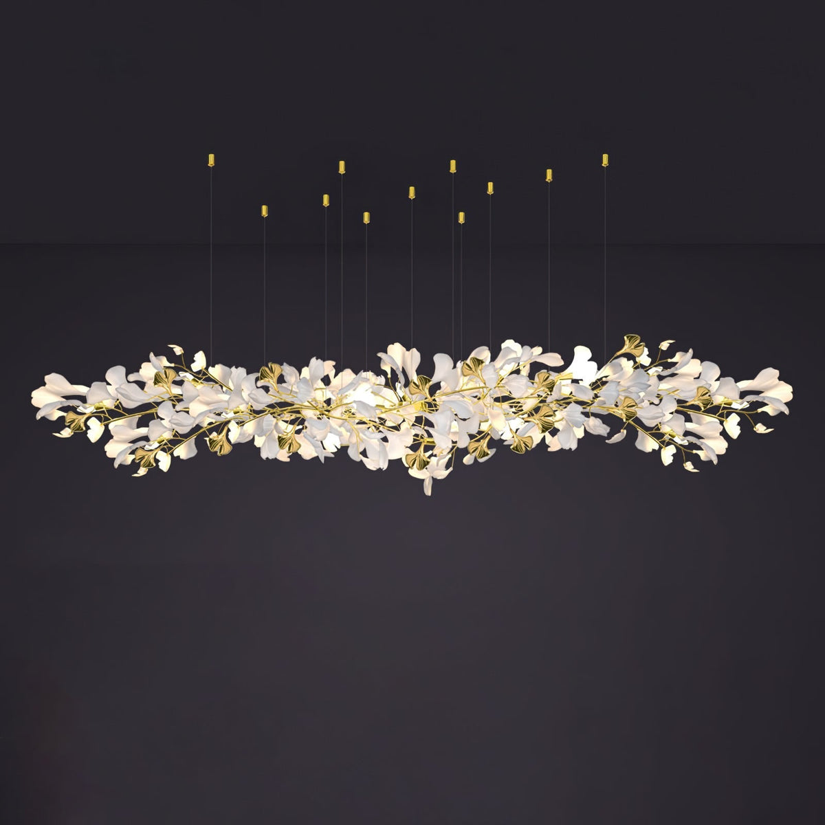 Calaena gingko-lysekrone