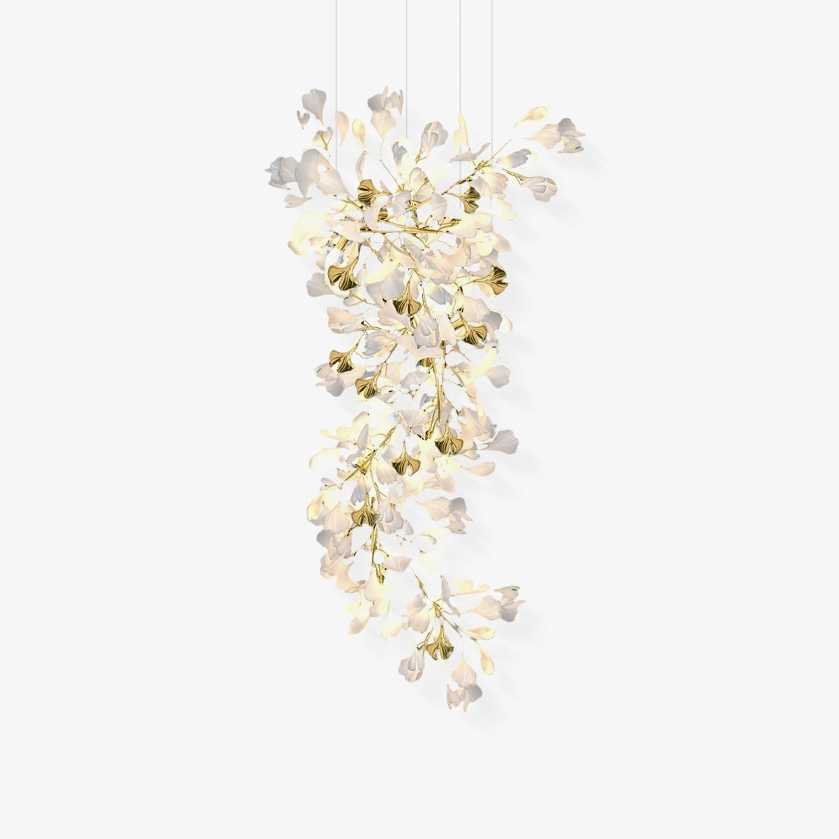 Calaena gingko-lysekrone