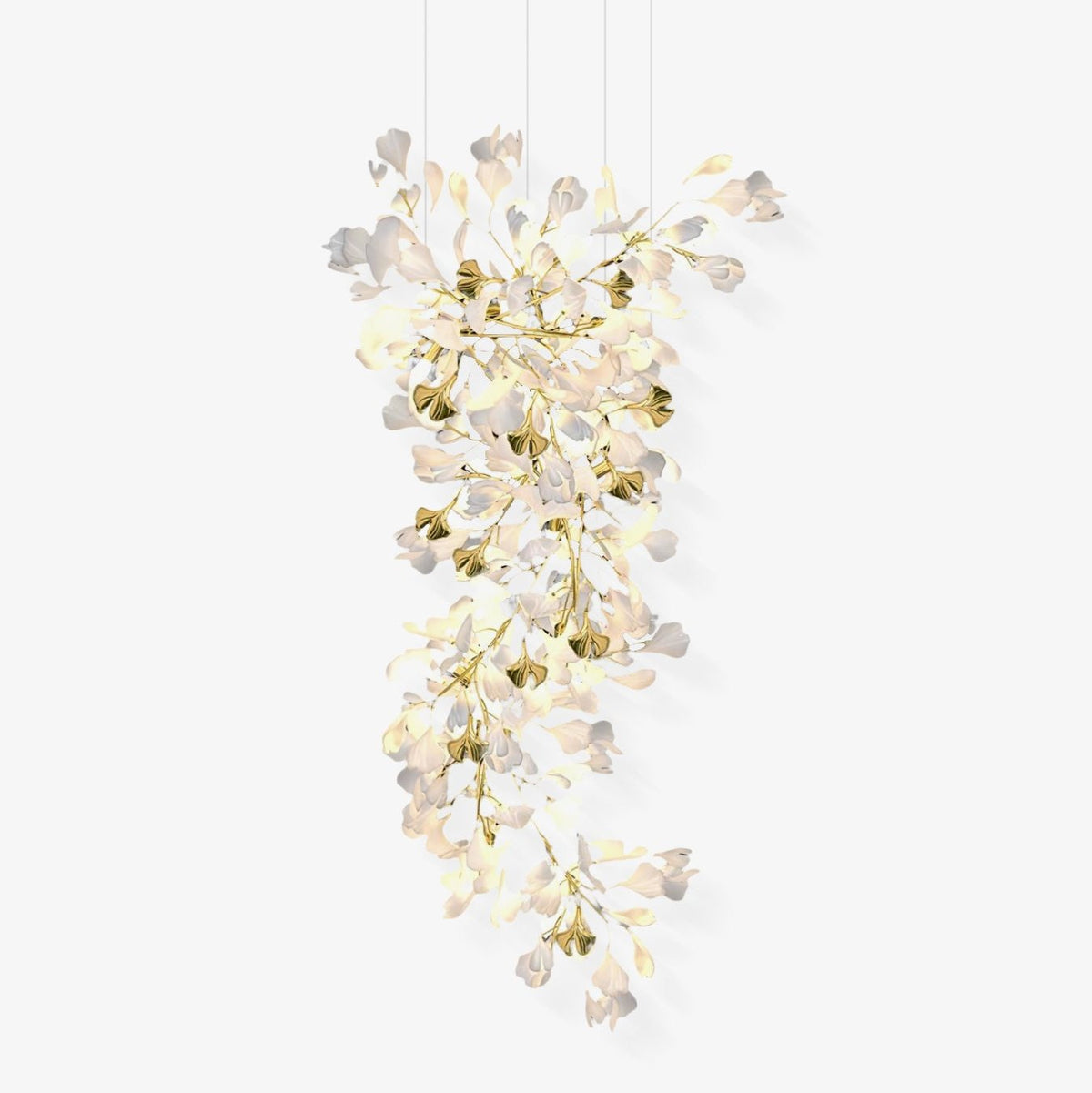 Calaena gingko-lysekrone