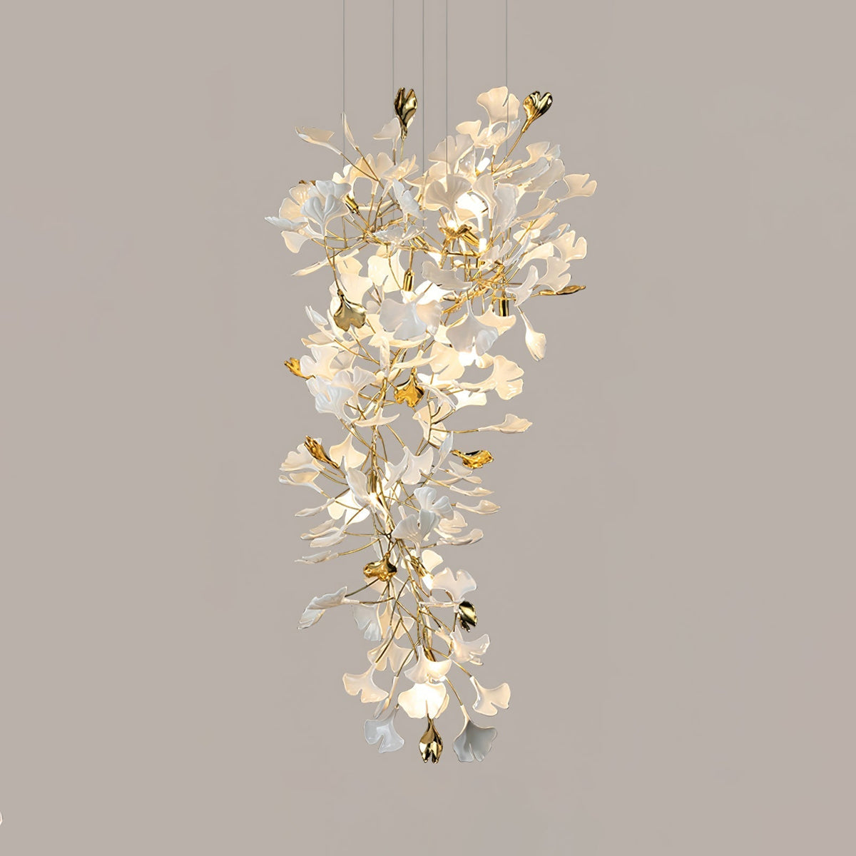 Calaena gingko-lysekrone