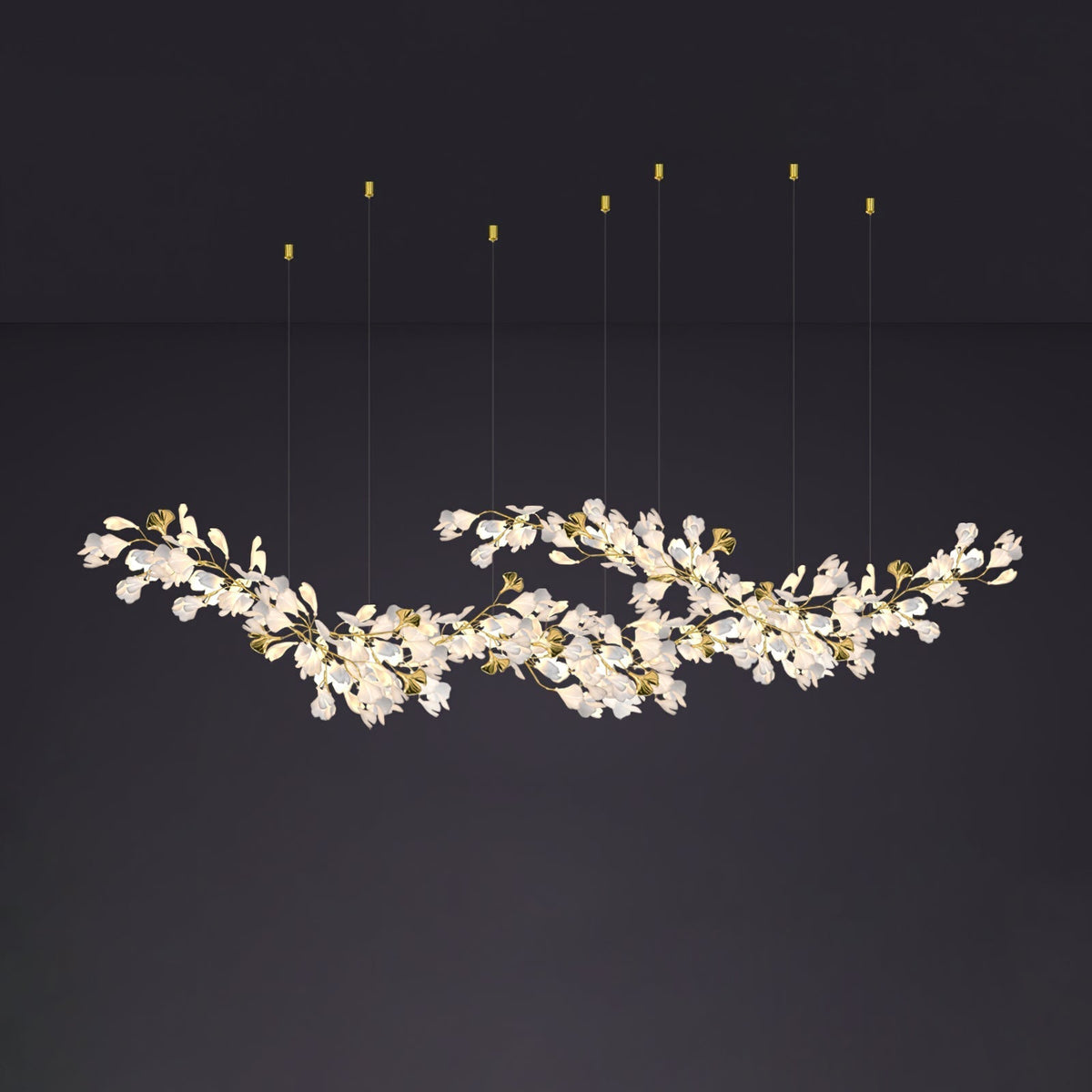 Calaena gingko-lysekrone