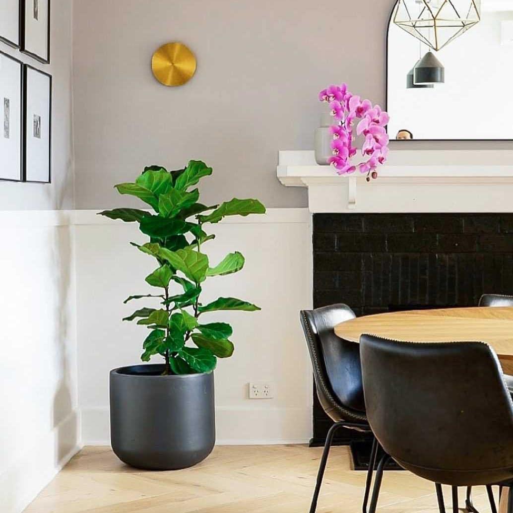Phelan-minimalistinen messinkinen seinävalaisin
