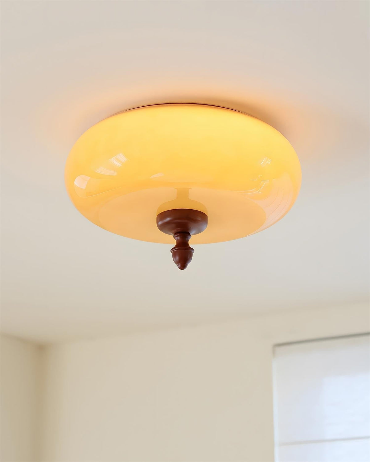 Renanian Ceiling Lamp
