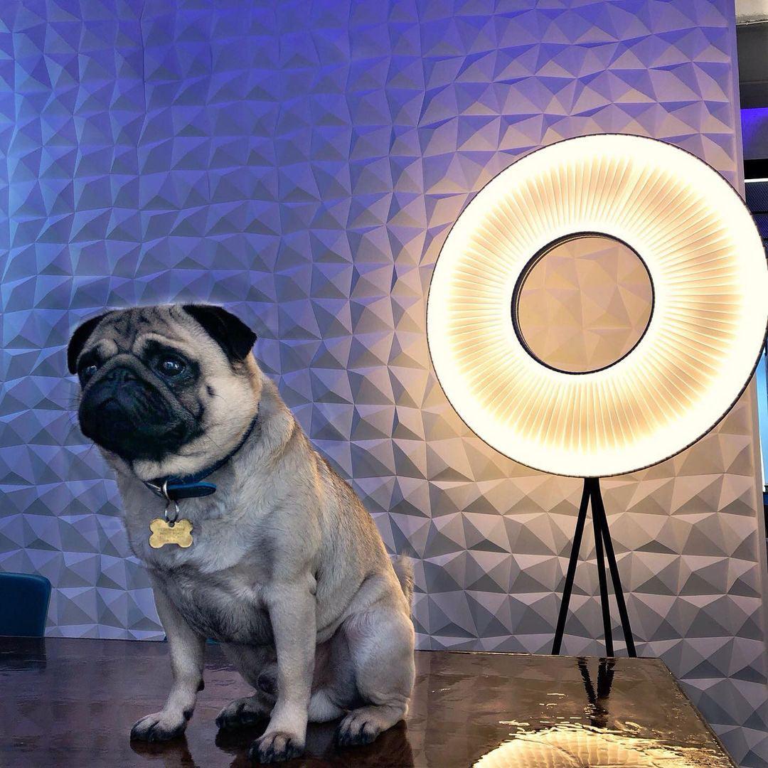 Helen modern golvlampa