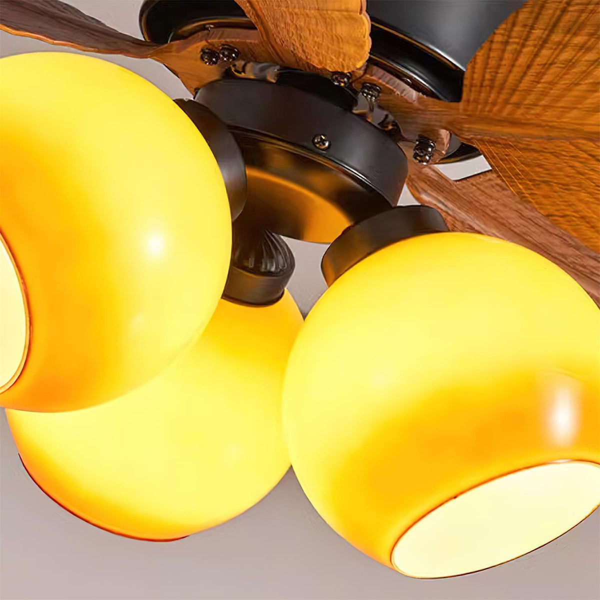 Avenineria Ceiling Fan Light