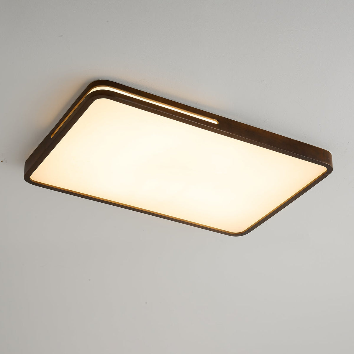 Vizoros modern minimalistisk taklampa