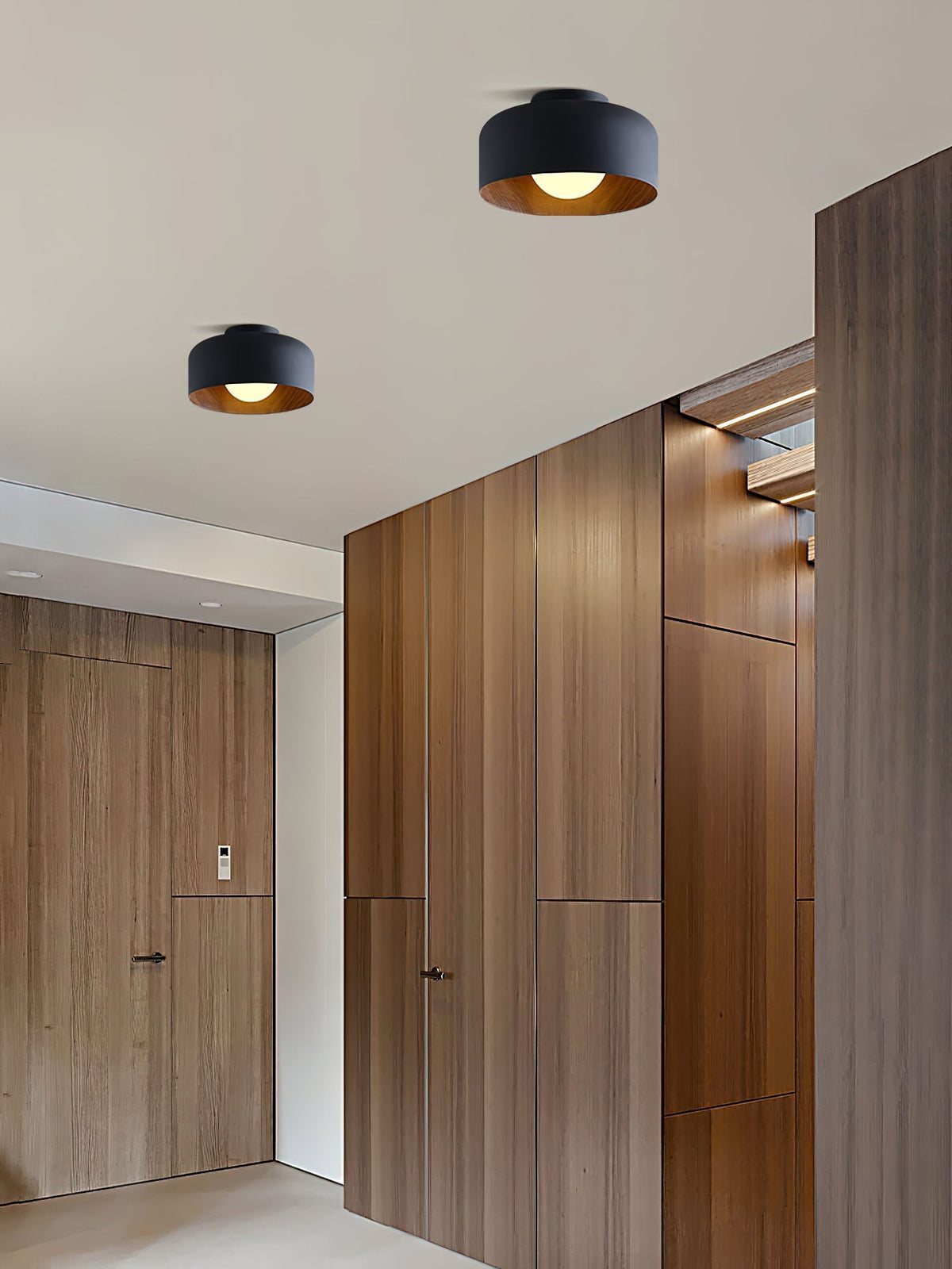 Elaerena Ceiling Light