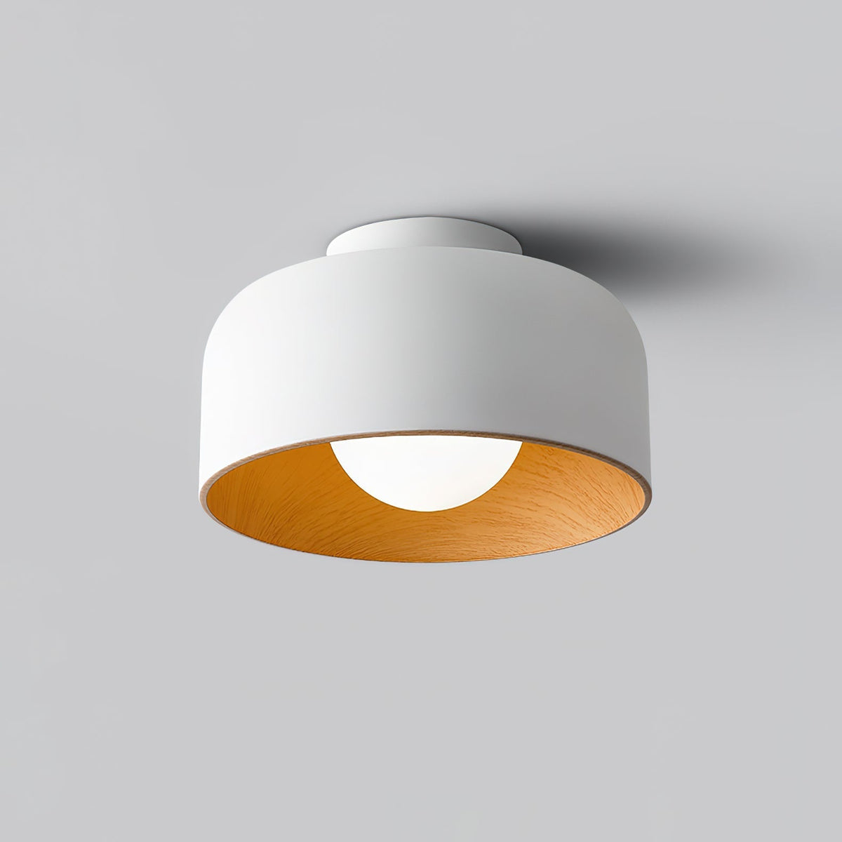 Elaerena Ceiling Light