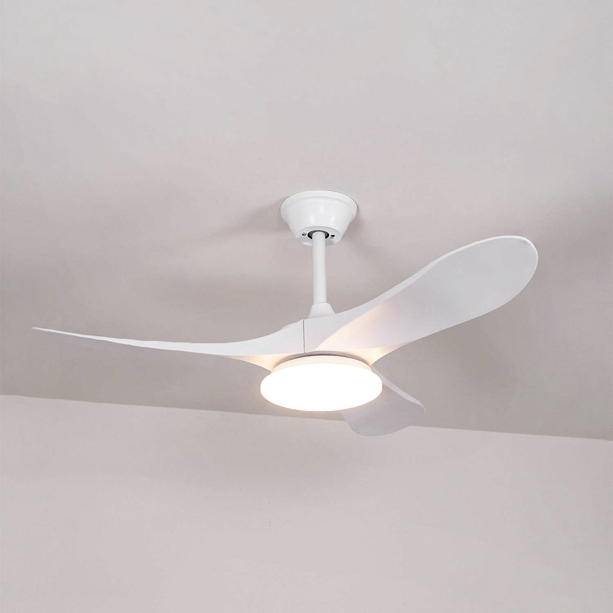 Ventoinha de teto com luz Liorueria