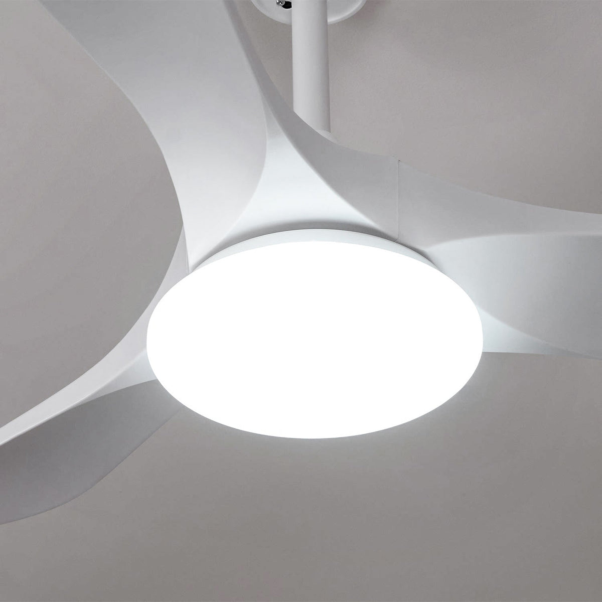 Ventoinha de teto com luz Liorueria