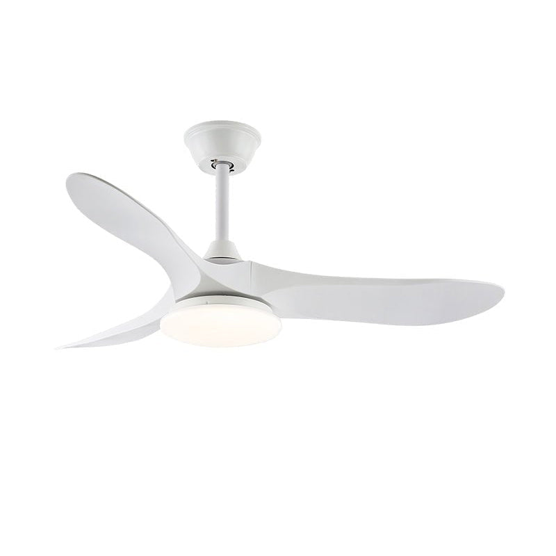 Ventoinha de teto com luz Liorueria